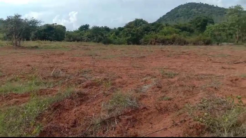  Agricultural Land 2 Acre for Sale in Mudigere, Chikmagalur