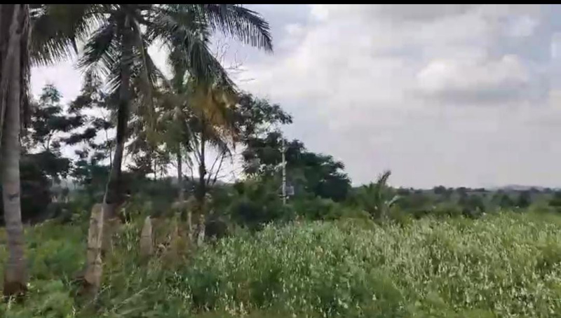  Residential Plot 2 Acre for Sale in Kanakapura, Bangalore