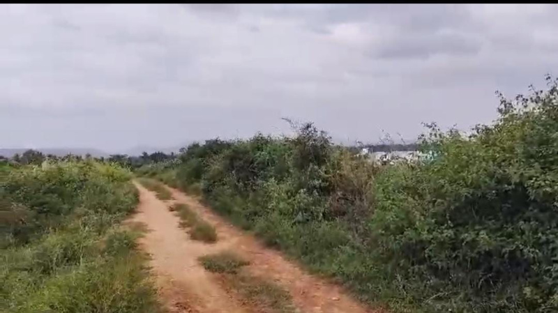  Residential Plot 2 Acre for Sale in Kanakapura, Bangalore