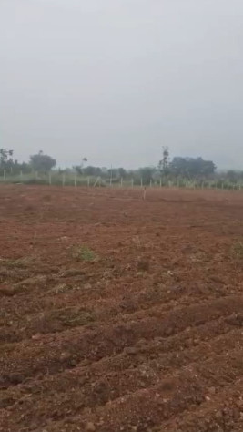  Agricultural Land 2 Acre for Sale in Malavalli, Mandya