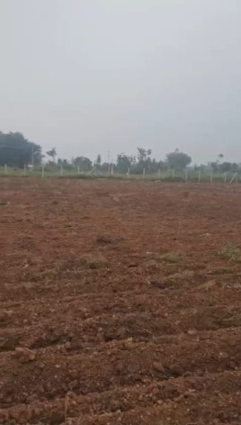  Agricultural Land 2 Acre for Sale in Malavalli, Mandya