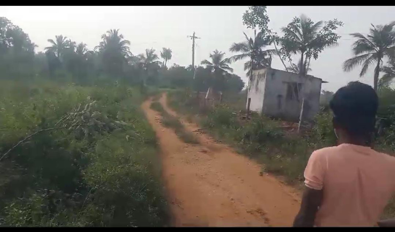  Agricultural Land 2 Acre for Sale in Malavalli, Mandya