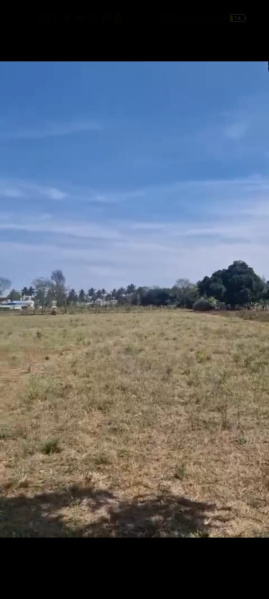  Agricultural Land 1 Acre for Sale in Doddaballapur, Bangalore