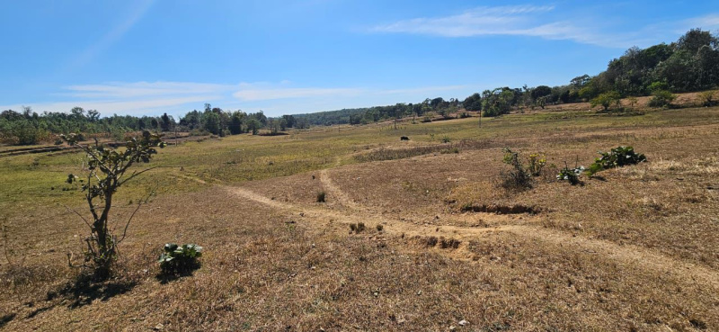  Agricultural Land 8 Acre for Sale in Alur, Hassan