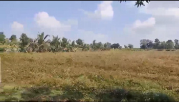  Agricultural Land for Sale in HD Kote Road, Mysore