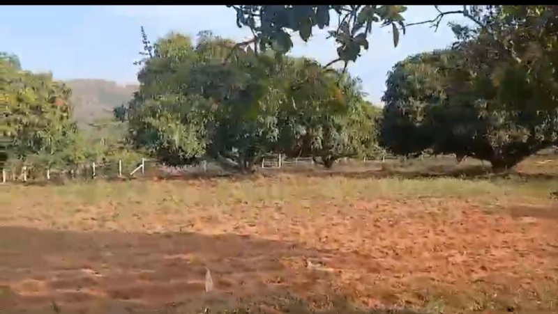  Agricultural Land 1 Acre for Sale in Bidadi, Bangalore