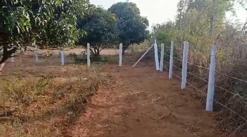  Agricultural Land 1 Acre for Sale in Bidadi, Bangalore