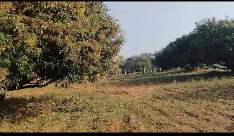  Agricultural Land 1 Acre for Sale in Bidadi, Bangalore