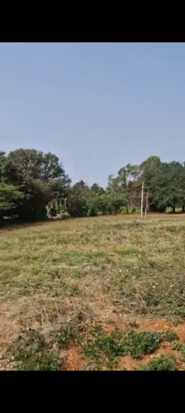  Agricultural Land 60 Guntha for Sale in Doddaballapur, Bangalore