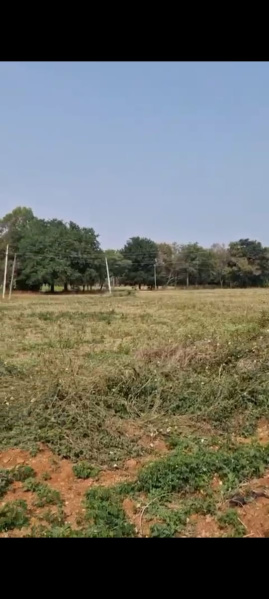  Agricultural Land 60 Guntha for Sale in Doddaballapur, Bangalore