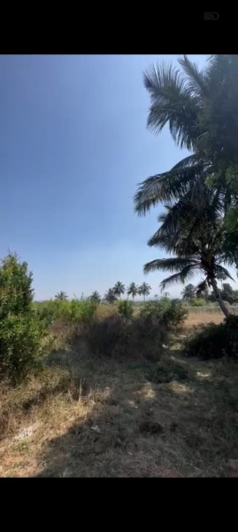  Agricultural Land 4 Acre for Sale in Chikkaballapur, Bangalore