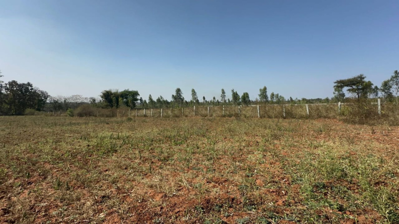  Agricultural Land 1 Acre for Sale in Doddaballapur, Bangalore