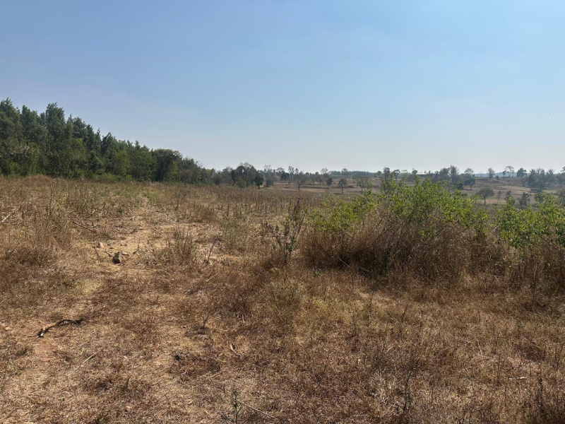  Agricultural Land 3 Acre for Sale in Belur Hassan