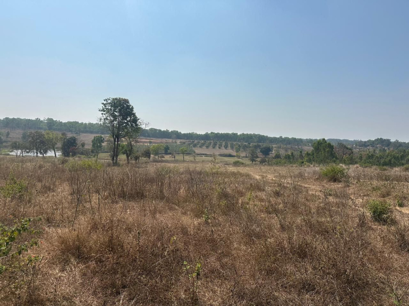  Agricultural Land 3 Acre for Sale in Belur Hassan