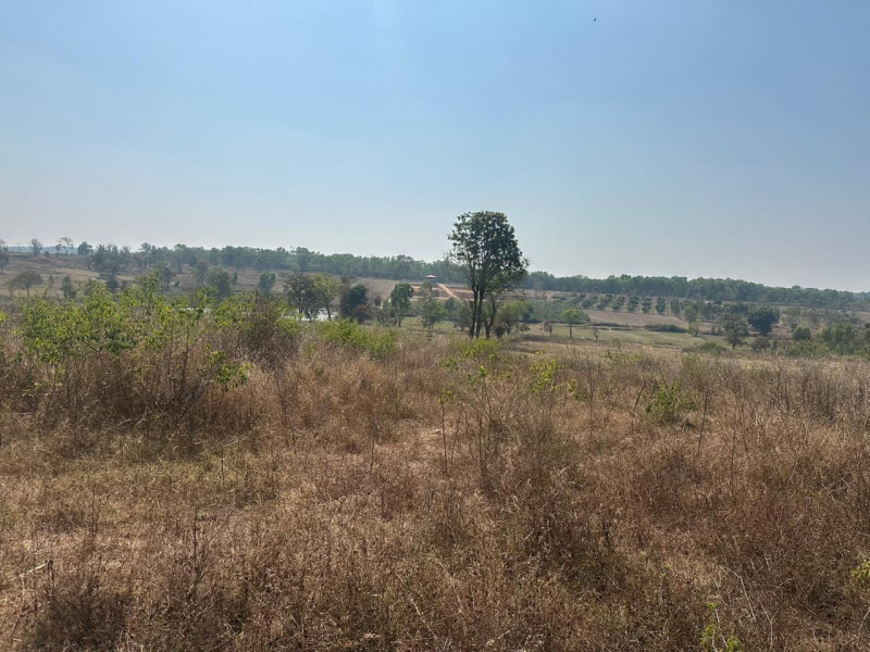  Agricultural Land 3 Acre for Sale in Belur Hassan