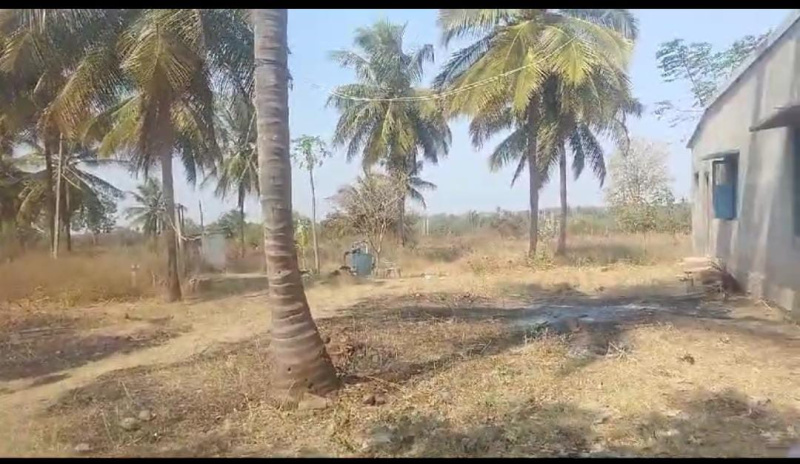  Agricultural Land 5 Acre for Sale in Belagola, Mysore