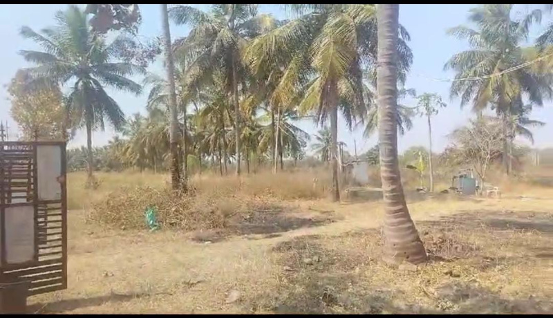  Agricultural Land 5 Acre for Sale in Belagola, Mysore