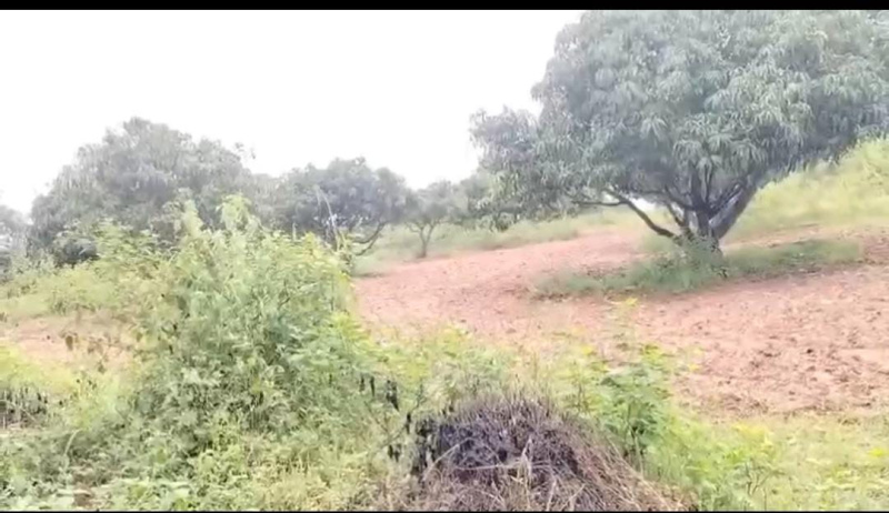  Agricultural Land 1 Acre for Sale in Kanakapura, Bangalore