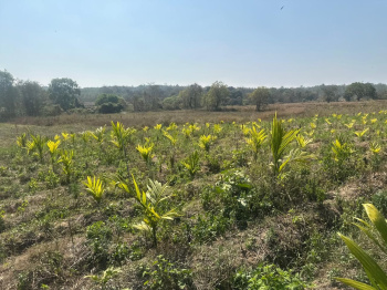  Agricultural Land for Sale in Hebbalu, Hassan