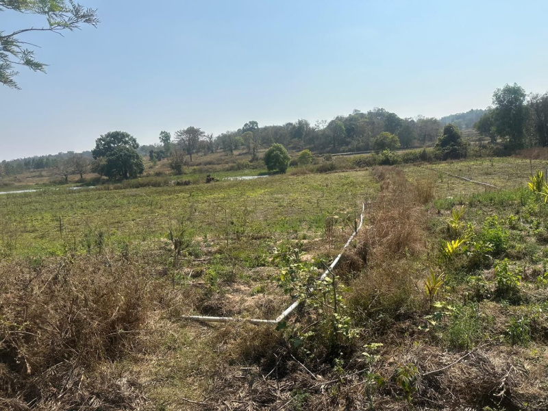  Agricultural Land 4 Acre for Sale in Hebbalu, Hassan