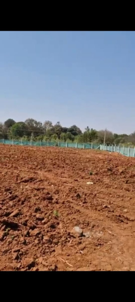  Agricultural Land 1 Acre for Sale in Doddaballapur, Bangalore