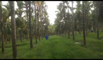  Agricultural Land for Sale in Kundapura, Udupi