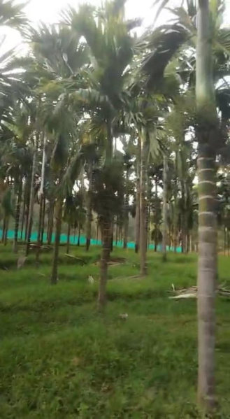  Agricultural Land 21 Acre for Sale in Kundapura, Udupi