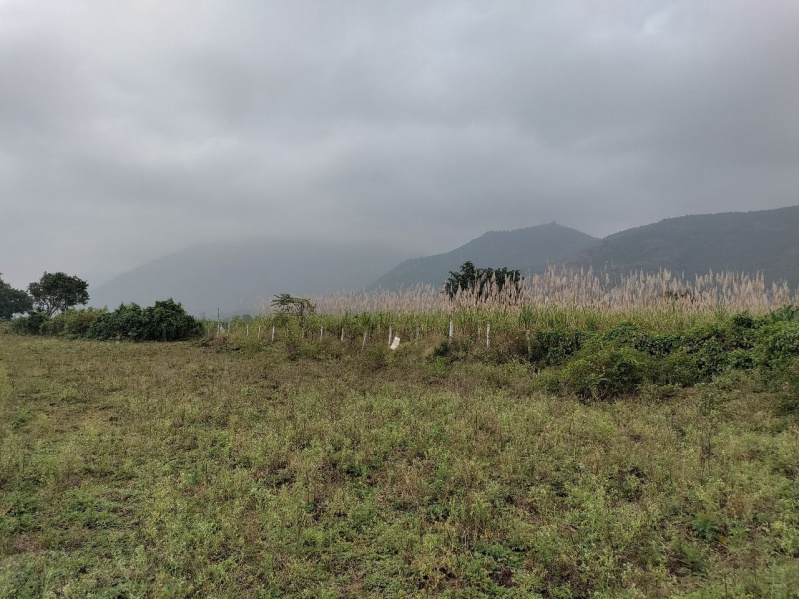  Agricultural Land 9 Acre for Sale in Kollegal, Chamrajnagar