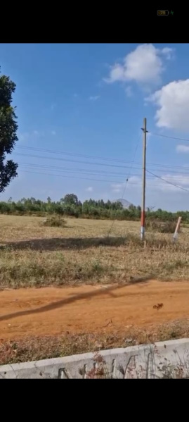  Agricultural Land 41 Guntha for Sale in Doddaballapur, Bangalore