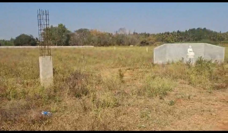  Agricultural Land 4 Acre for Sale in Doddaballapur, Bangalore