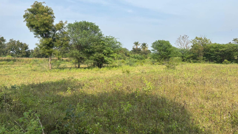  Agricultural Land 1 Acre for Sale in Chikkaballapur, Bangalore