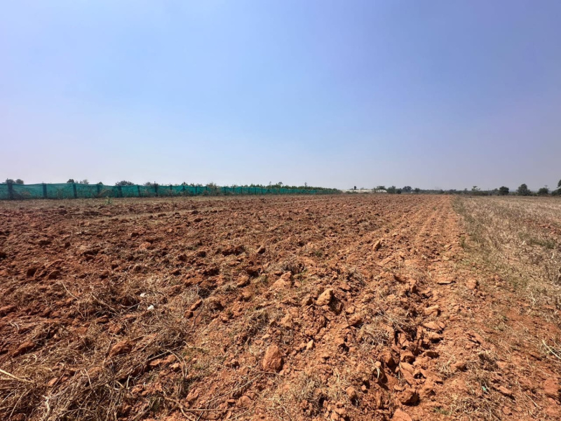  Agricultural Land 11 Acre for Sale in Doddaballapur, Bangalore