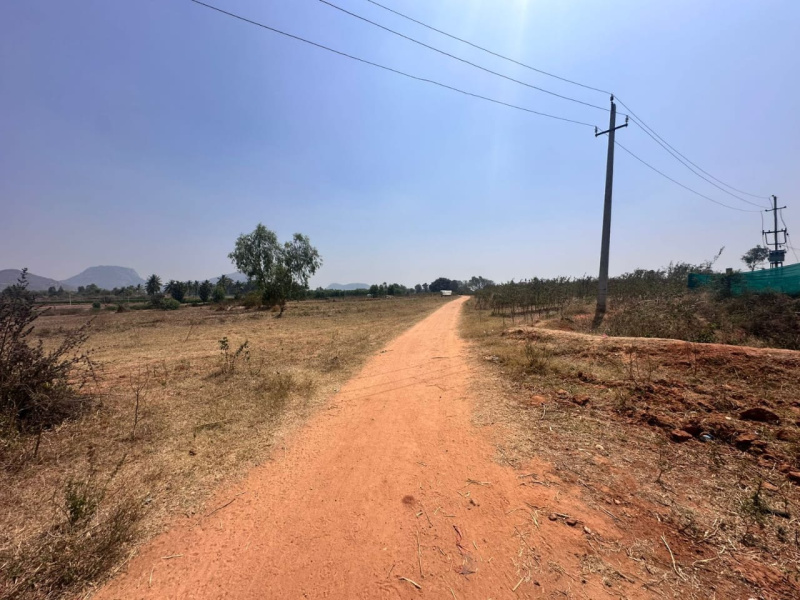  Agricultural Land 11 Acre for Sale in Doddaballapur, Bangalore