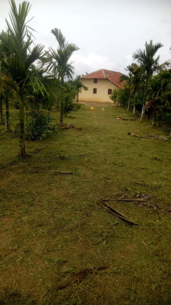  Agricultural Land 11 Acre for Sale in Sakleshpur, Hassan