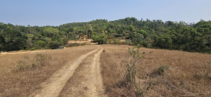  Agricultural Land 20 Acre for Sale in Sakleshpur, Hassan