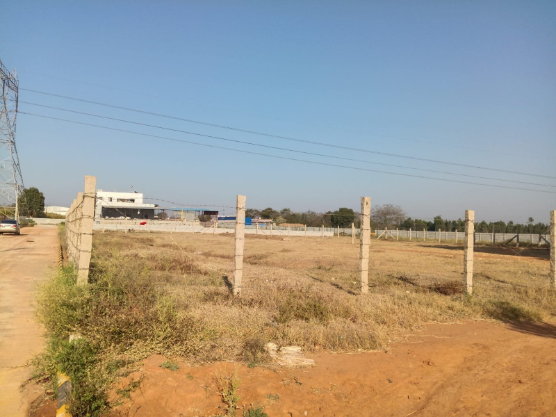  Agricultural Land 23 Guntha for Sale in Hoskote Malur Road, Bangalore