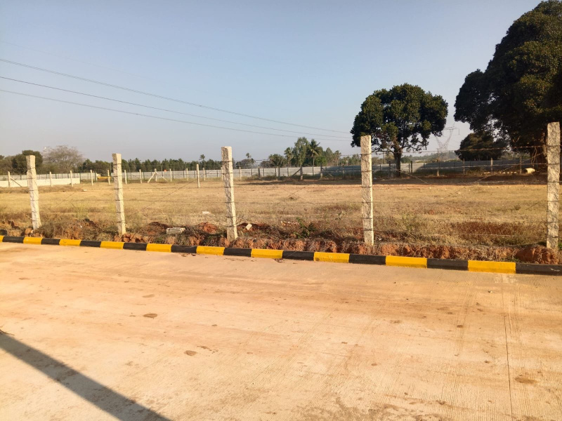  Agricultural Land 23 Guntha for Sale in Hoskote Malur Road, Bangalore