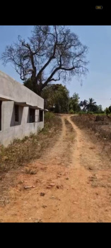  Agricultural Land for Sale in Rajankunte, Bangalore