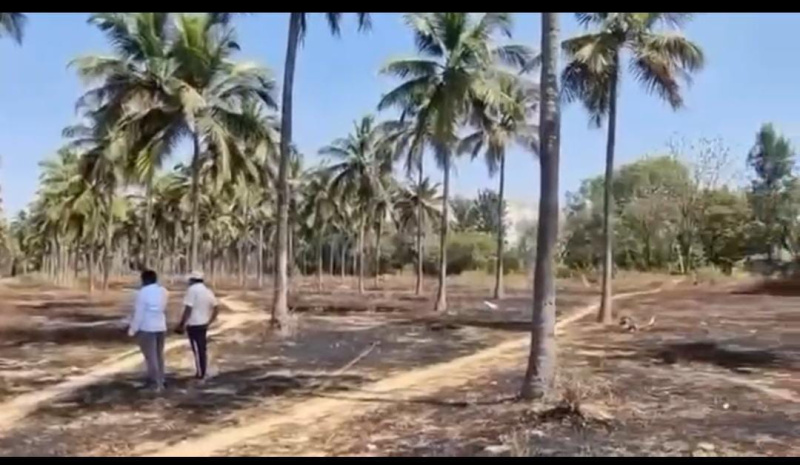  Agricultural Land 5 Acre for Sale in Yelahanka, Bangalore