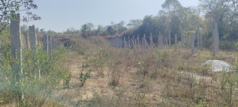  Agricultural Land 2 Acre for Sale in Belur Hassan