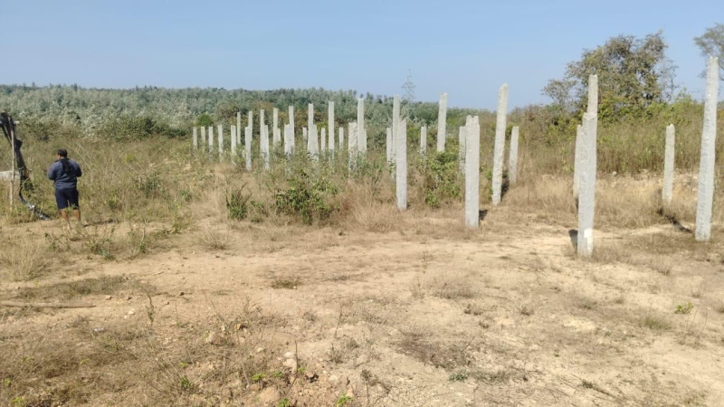  Agricultural Land 2 Acre for Sale in Belur Hassan