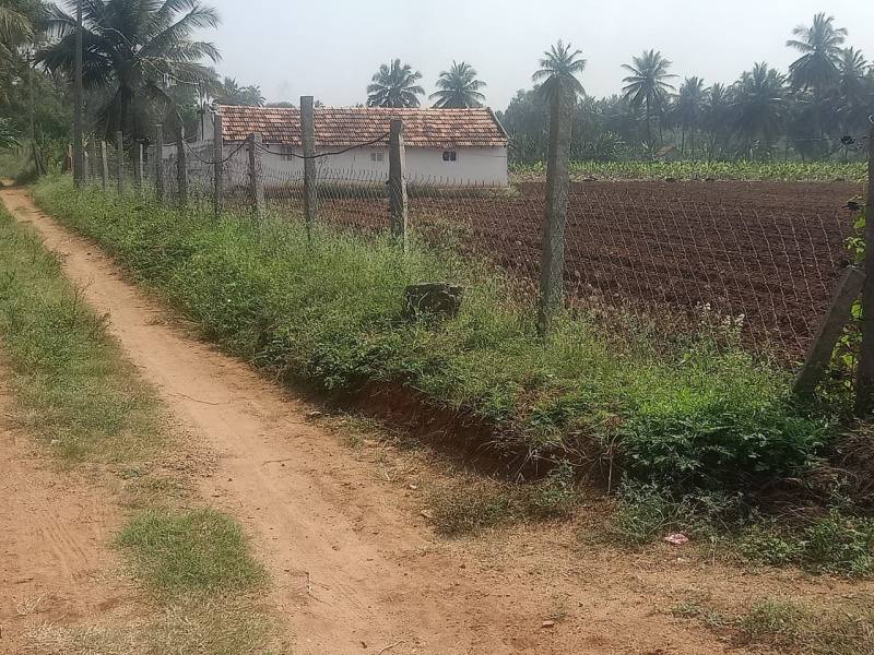  Agricultural Land 261360 Sq.ft. for Sale in Kollegal, Chamrajnagar