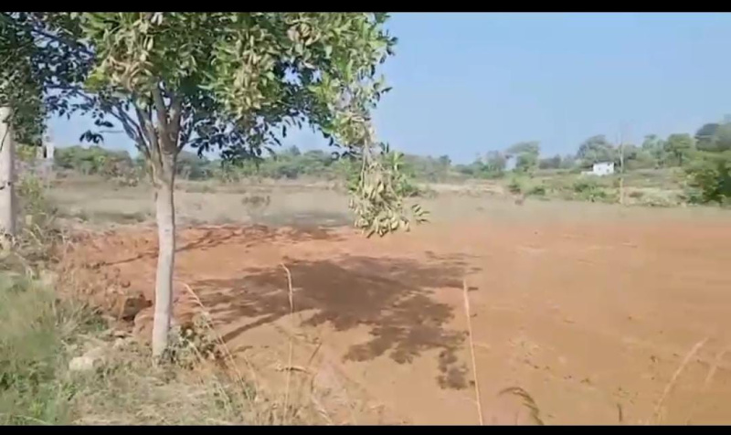  Agricultural Land 1 Acre for Sale in Kanakapura, Bangalore