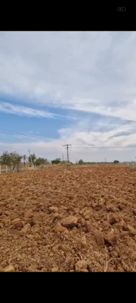  Agricultural Land 2 Acre for Sale in Chikkaballapur, Bangalore