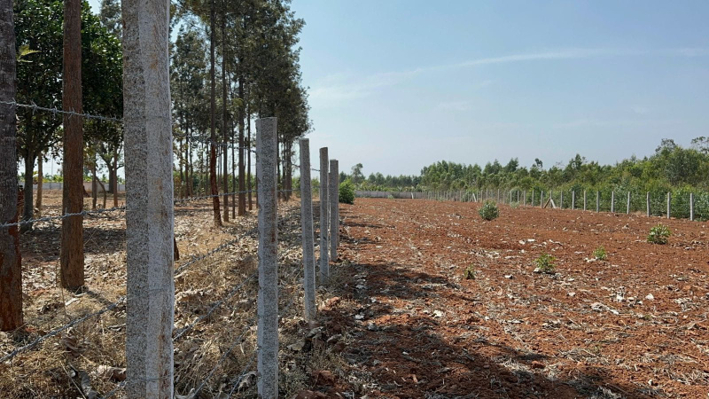  Agricultural Land 1 Acre for Sale in Doddaballapur, Bangalore