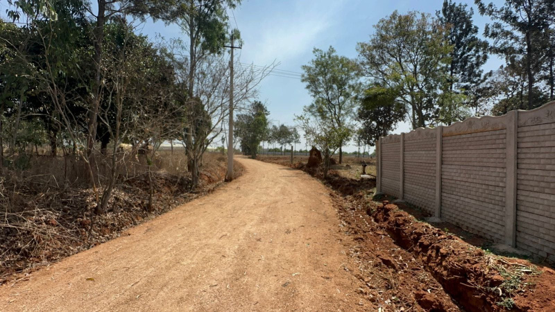  Agricultural Land 1 Acre for Sale in Doddaballapur, Bangalore