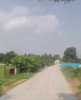  Agricultural Land for Sale in Yelahanka, Bangalore