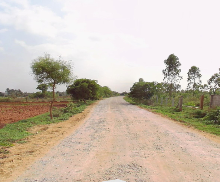  Agricultural Land 3 Acre for Sale in Yelahanka, Bangalore