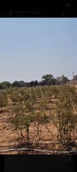  Agricultural Land 3 Acre for Sale in Devanahalli, Bangalore