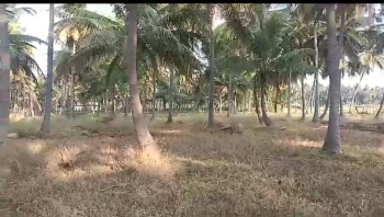  Agricultural Land for Sale in Channapatna, Bangalore